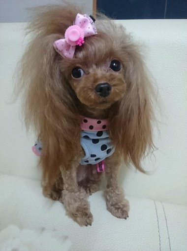 С̩����ô��ͷ���ÿ� ��θ�����ͷ��