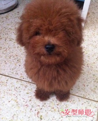 ̩ϵһμëô ۾Χ޼ͼƬ