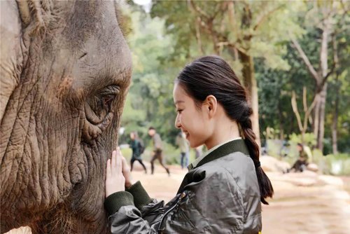 Ů������β��ٱ��л������ص� ������Ů�������������ɷ���ϵ