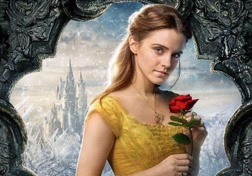 ��ʿ�ṫ�������׷������ݹ��� �����������������ڼ�