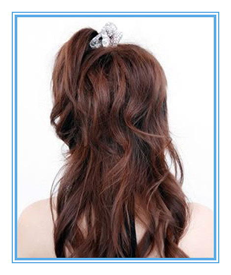 ����ѧ���������� ����ѧ���������