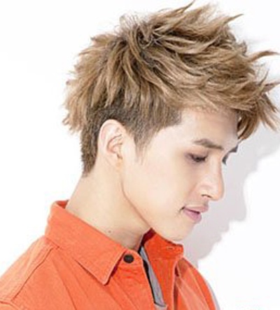 男生非主流烟花烫发型 90后男生非主流爆炸头发型图片